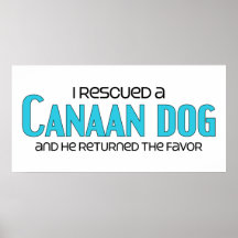 I Rescued a Canaan Dog (Male Dog) Poster