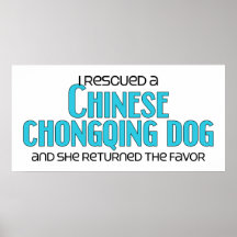 I Rescued a Chinese Chongqing Dog (Female Dog) Poster