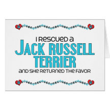 I Rescued a Jack Russell Terrier (Female Dog) Greeting Cards