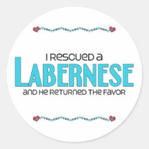I Rescued a Labernese (Male) Dog Adoption Design Sticker