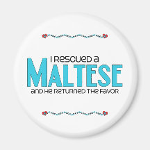 I Rescued a Maltese (Male Dog) Refrigerator Magnets