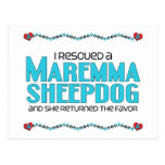 I Rescued a Maremma Sheepdog (Female Dog) Postcard
