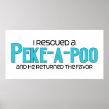 I Rescued a Peke-a-Poo (Male) Dog Adoption Design Poster