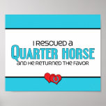 I Rescued a Quarter Horse (Male Horse) Posters