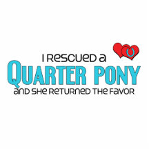 I Rescued a Quarter Pony (Female Pony) Photo Cutout