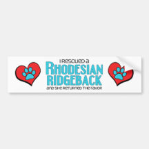 I Rescued a Rhodesian Ridgeback (Female Dog) Bumper Stickers