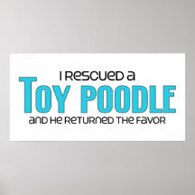 I Rescued a Toy Poodle (Male Dog) Poster