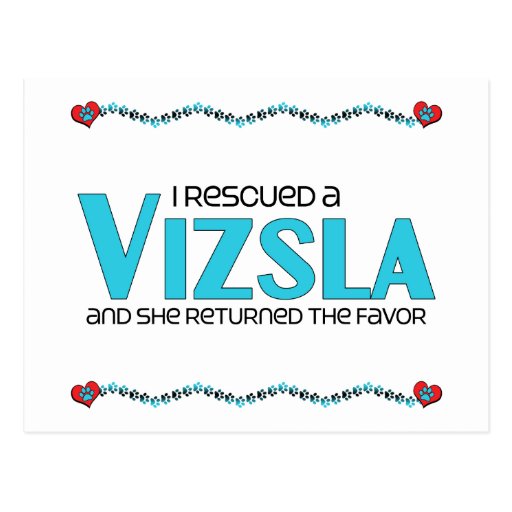 I Rescued a Vizsla (Female Dog) Postcard