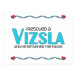 I Rescued a Vizsla (Male Dog) Post Card