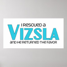 I Rescued a Vizsla (Male Dog) Print