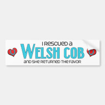 I Rescued a Welsh Cob (Female Pony) Bumper Stickers