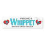 I Rescued a Whippet (Male Dog) Bumper Sticker