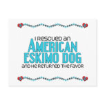 I Rescued an American Eskimo Dog (Male Dog) Postcards