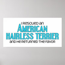 I Rescued an American Hairless Terrier (Male Dog) Print