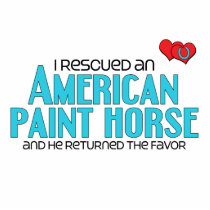 I Rescued an American Paint Horse (Male Horse) Cut Out