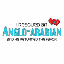 I Rescued an Anglo-Arabian (Male Horse) Cut Outs