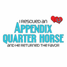 I Rescued an Appendix Quarter Horse (Male Horse) Photo Sculpture