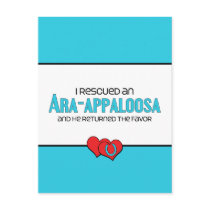 I Rescued an Ara-Appaloosa (Male Horse) Postcard