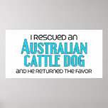 I Rescued an Australian Cattle Dog (Male Dog) Posters