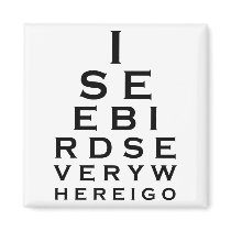 I See Birds Eyechart