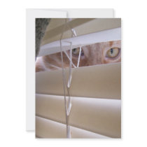 "I See What You Did There" LOLcat Custom Invites