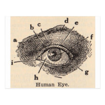 I See You Postcards