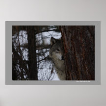 I See You Print