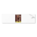 (I SERVE MY MASTER) bumper stickers