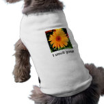 I smell good! pet clothing