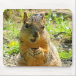 I Smile for Seeds & Sales mousepads