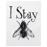 I Stay Fly flyers