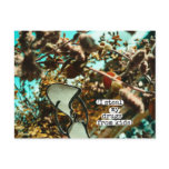 (I steal my drugs from kids) postcards