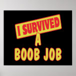 I SURVIVED A BOOB JOB POSTER