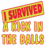 I SURVIVED A KICK IN THE BALLS PHOTO CUT OUTS