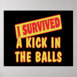 I SURVIVED A KICK IN THE BALLS PRINT