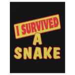 I SURVIVED A SNAKE flyers