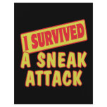 I SURVIVED A SNEAK ATTACK flyers