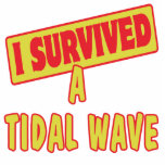 I SURVIVED A TIDAL WAVE PHOTO CUT OUTS