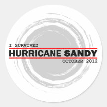 I Survived Hurricane Sandy Stickers
