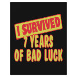 I SURVIVED SEVEN YEARS OF BAD LUCK flyers