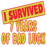 I SURVIVED SEVEN YEARS OF BAD LUCK photo sculptures