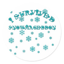 I SURVIVED SNOWMAGEDDON 2010 STICKER