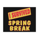 I SURVIVED SPRING BREAK POSTCARDS