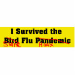 I Survived The Bird/Swine Flu Pandemic/Hoax photo sculptures