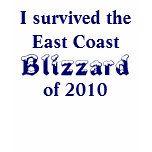 I survived the East Coast Blizzard 2010 Shirt