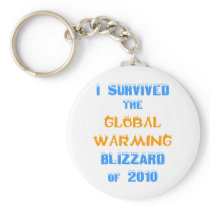 I Survived the Global Warming Blizzard of 2010