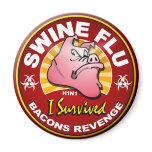 I Survived The Swine Flu Pandemic - H1N1 Virus magnets