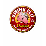 I Survived The Swine Flu Pandemic - H1N1 Virus t-shirts