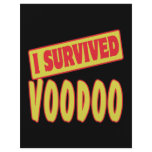 I SURVIVED VOODOO flyers