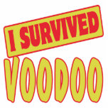 I SURVIVED VOODOO photo sculptures